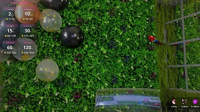 baby nyco online show from November 4, 4:45 pm