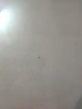 Appypie online show from November 19, 11:43 am