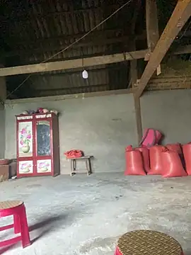 O o UwU o O online show from September 21, 9:30 am