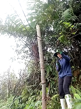 ngan-cute online show from March 18, 8:30 am