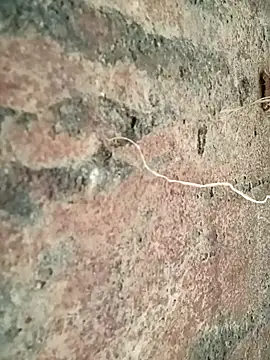 simi-lucy online show from September 25, 4:55 am