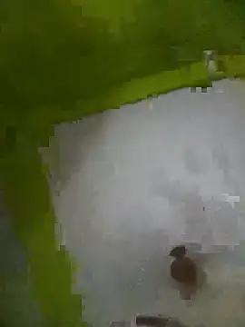 KITTUAAA online show from November 5, 5:29 pm