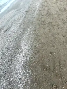 BabyLeopard online show from September 15, 4:36 pm