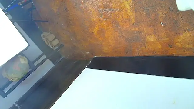 elizawiliamst online show from February 24, 11:53 am