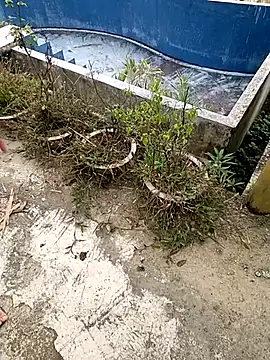 Lyly nuce online show from September 19, 11:59 pm