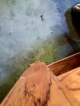 Lyly nuce online show from September 23, 8:34 am