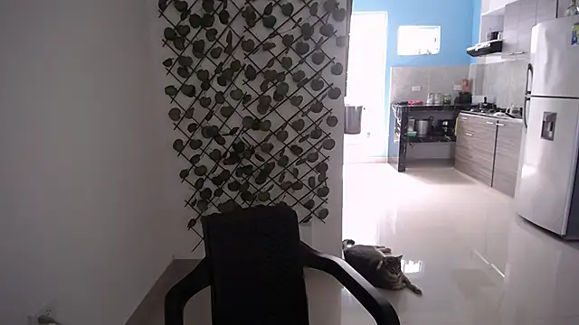 yohacriss online show from December 15, 4:45 pm