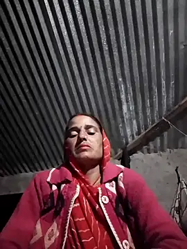 Jalebi bay online show from November 11, 1:08 pm