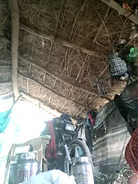 LUCKY cut online show from October 7, 2:38 am