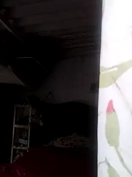  tetas 92 online show from January 14, 2:44 pm