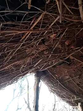 Janvi Jaitly online show from December 5, 1:27 am