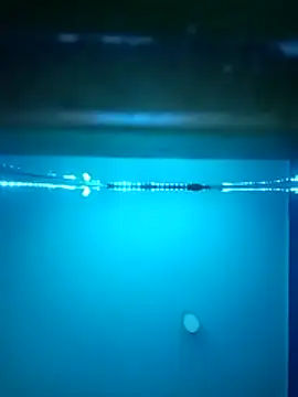 Big Ass Black Cock online show from October 21, 10:19 am