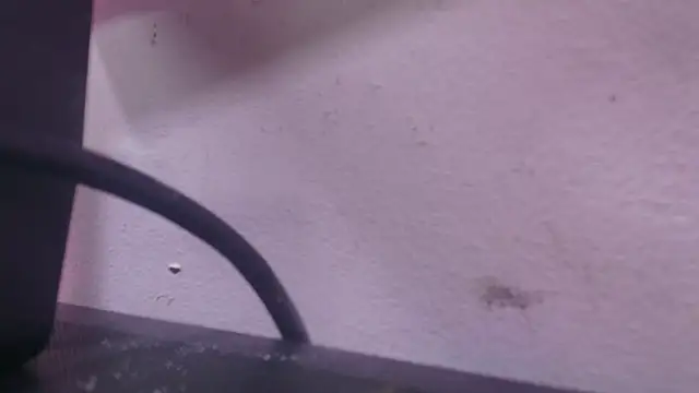 abbyrouss  online show from October 7, 3:00 am