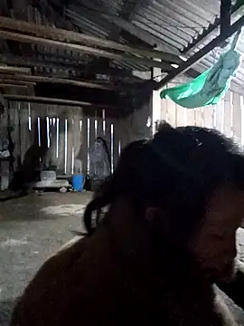 bonnie-00 online show from November 20, 10:27 am