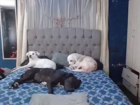 Snapshot of skarleth_hot21 chatting on October 22, 6:46 pm skarleth hot21 online show from October 22, 6:46 pm