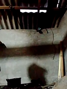 donna-bae online show from March 18, 11:26 am