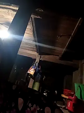 callistra online show from November 16, 1:55 pm