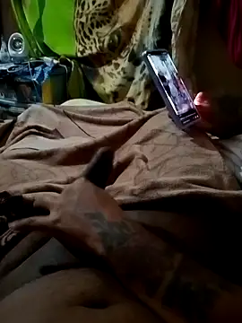 calntt28 online show from September 24, 3:38 am