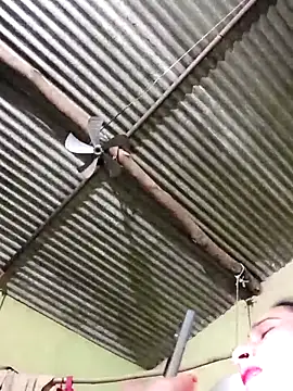 Haliya88 online show from December 17, 6:01 pm