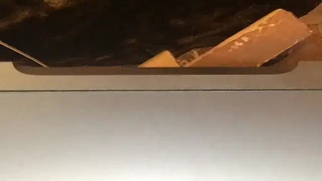 paula19800 online show from November 21, 5:15 pm