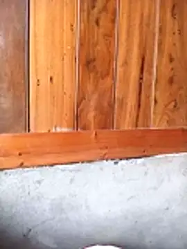 Mai lovely online show from February 27, 3:50 am