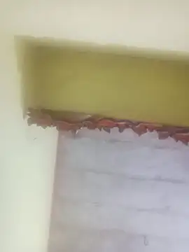 Cuty nensi online show from November 27, 5:27 pm