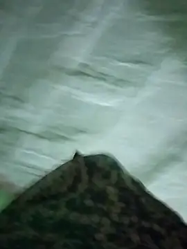 Na shreya online show from January 17, 11:45 pm