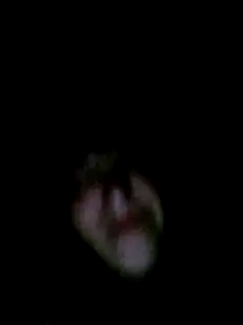Apeesynka55211 online show from June 13, 8:39 pm