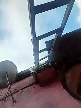 Jg135667 online show from November 27, 11:02 am