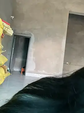 sukanaka99 online show from February 17, 7:40 am