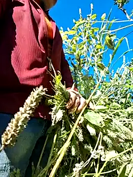 miomio-12 online show from November 29, 3:21 am