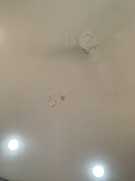 natty Indian online show from October 6, 5:13 am