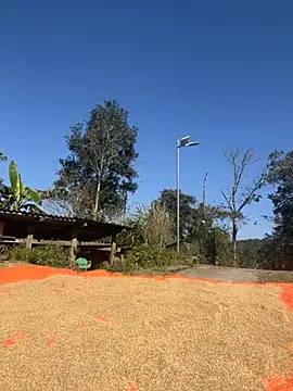 miemie-xx online show from November 26, 3:18 am