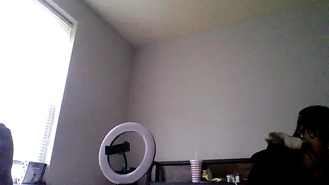 dezzidavill online show from February 20, 3:02 pm