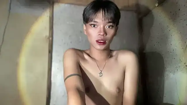 Chechay online show from October 23, 6:30 am