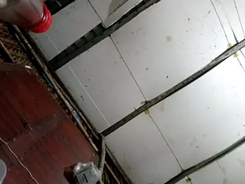 Cherry pusy99 online show from December 4, 10:28 am