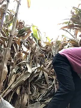 namicute online show from December 16, 8:20 am