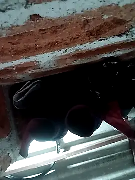 Rajni chauhan online show from November 5, 5:40 pm