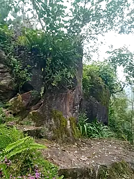 nui-show online show from October 27, 4:41 am