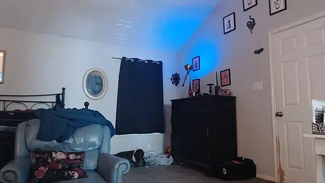 ImKatMeow online show from February 9, 5:15 pm