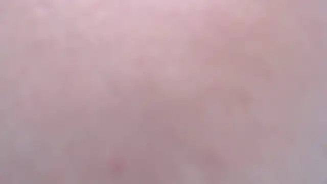 little paw  online show from February 9, 7:32 am