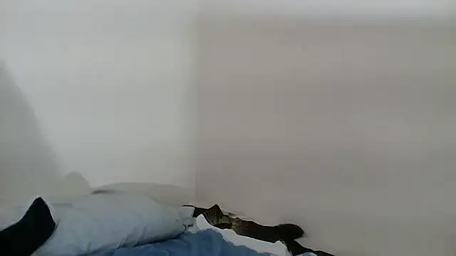 My Meloddy online show from November 12, 2:15 pm