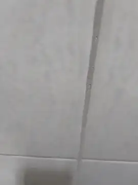 ToldAffix online show from October 27, 4:57 pm