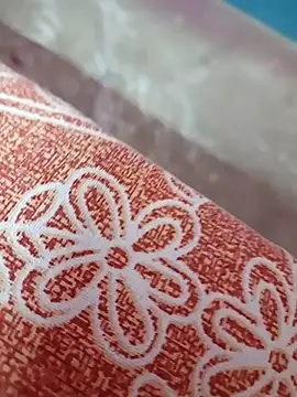 Laal Parilove online show from November 4, 6:13 pm