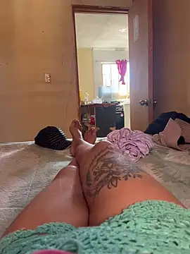 gatitaamelosa online show from December 20, 7:29 pm