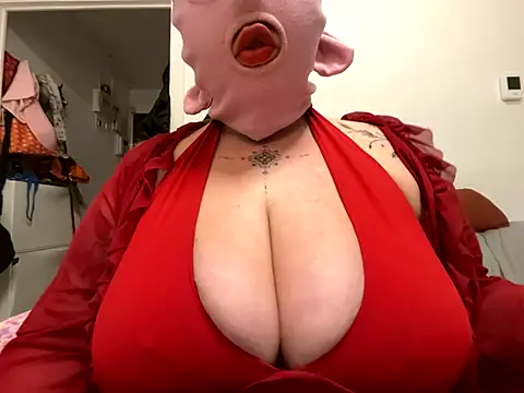 Shy piggyy online show from November 6, 9:42 pm