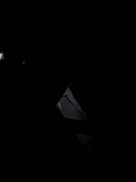 bluma24 online show from November 6, 4:40 am