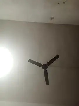 Jooli cuty online show from November 17, 6:52 pm