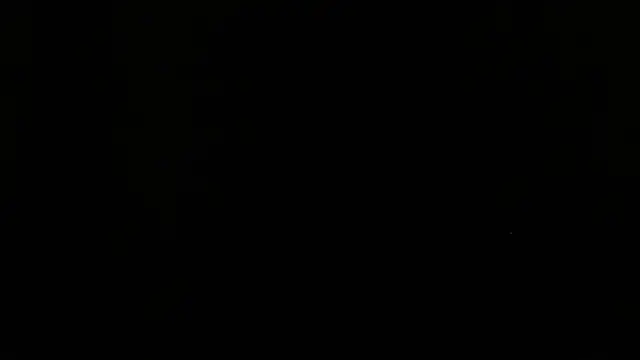 shark boy28 online show from November 20, 2:56 am