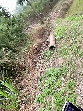 pitty mymi online show from March 11, 7:01 am